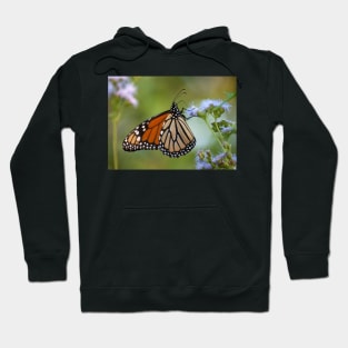 Migration Series IV Hoodie